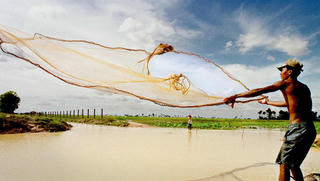 Tonle Sap hết thời “vựa cá”
