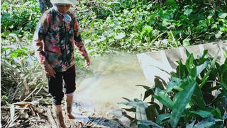 Hộ gia đình bị hàng xóm bịt lối đi: Cán bộ xã hướng dẫn dân… bơi xuồng vào nhà