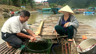 Quảng Bình: Gần 14.000 việc làm nhờ phát triển du lịch
