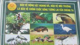 Quay về với đời từ đường dây nóng