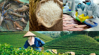 Xây dựng thương hiệu quốc gia cho nông sản Việt