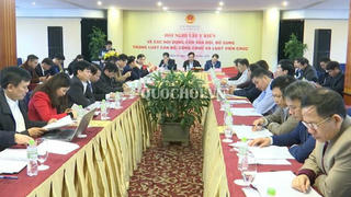 Sửa đổi, bổ sung Luật Tổ chức Chính phủ: Đẩy mạnh phân cấp trong quản lý tổ chức bộ máy