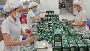 Cần Thơ: Thúc đẩy sản xuất sạch hơn trong công nghiệp