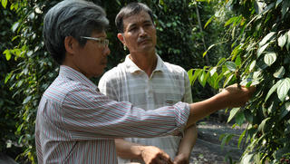 Người mang sức sống mới về vùng trồng tiêu Lâm San