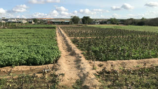 Tiếp vụ tranh chấp QSDĐ ở Bình Thuận: Cấp dưới nhận sai, cấp trên không cho phép?