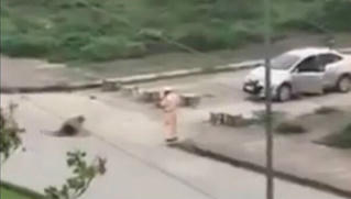 Vụ nam thanh niên đâm chết người yêu: CSGT đứng nhìn phải tường trình