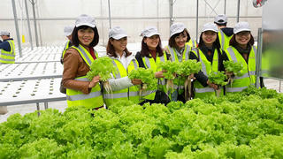 Nhiều địa phương áp dụng công nghệ thông tin vào nông nghiệp: Xu hướng nông nghiệp thời đại 4.0