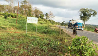 Sao mà tham thế?