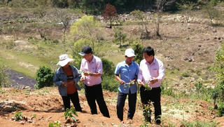 Trợ lực vốn tại các huyện nghèo