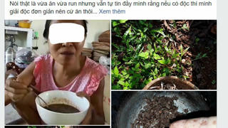 Sự thật đằng sau việc cổ vũ ăn nấm độc