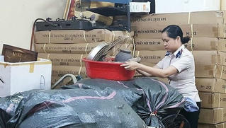 Quản lý kho vật chứng trong thi hành án dân sự và một số kiến nghị 