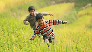 Em xa chốn đô thành…
