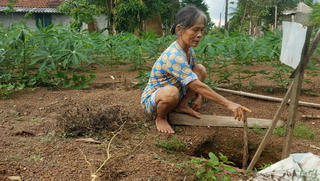 Bất thường nhiều khu ruộng bị sụt lún, nông dân Thừa Thiên- Huế: lo lắng