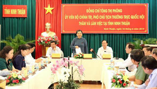 Ninh Thuận đề xuất cơ chế đầu tư dự án điện mặt trời
