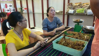 Dự án sâm Ngọc Linh mắc nhiều sai phạm tiêu chuẩn, chất lượng
