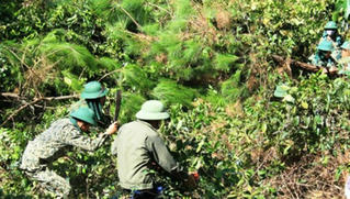 Quân khu 4 căng mình dập lửa, cứu rừng