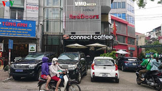 Khởi tố vợ chồng luật sư Trần Vũ Hải