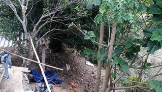 Nam thanh niên bế bé gái ra sau vườn giở trò dâm ô