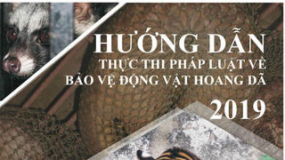 Phát miễn phí tài liệu về bảo vệ động vật hoang dã 