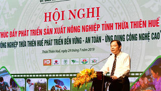 Thừa Thiên - Huế phải hướng đến một nền nông nghiệp hữu cơ