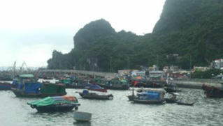 Các địa phương khẩn trương phòng chống bão số 3