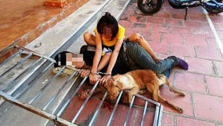 Đôi tình nhân đi trộm chó bị người dân vây bắt