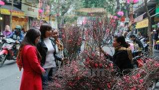 Chốt phương án nghỉ Tết Nguyên đán 2020 trình Chính phủ 