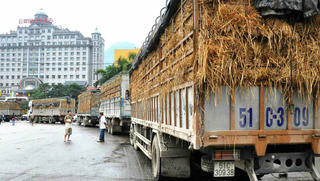 Đã đến lúc bỏ suy nghĩ “thị trường Trung Quốc là chợ biên giới”