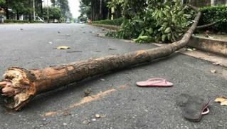 Nữ sinh tử vong trên đường đi ôn thi học sinh giỏi 