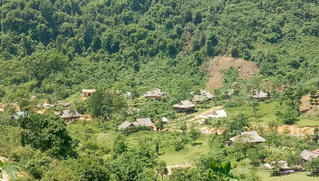 Nghệ An: Giao rừng hơn 10 năm không triển khai dự án, dân vùng biên “khát” đất sản xuất
