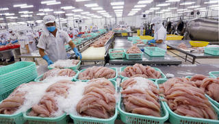 Tận dụng FTA để thúc đẩy xuất khẩu nông thủy sản
