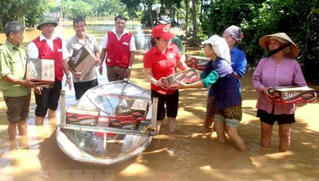 Biểu tượng Chữ thập đỏ bị vi phạm dưới nhiều hình thức