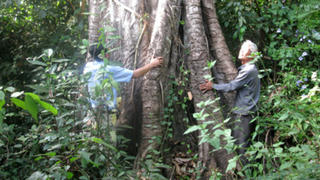 Về miền thiêng...