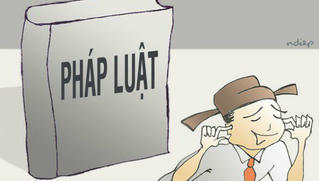 Đừng đùa với pháp luật