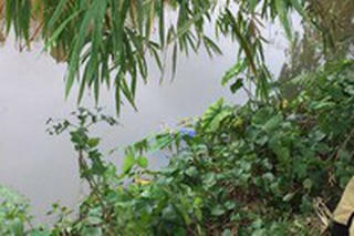 Tình tiết bất ngờ vụ người đàn ông tử vong bên bờ suối
