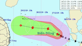 Triển khai phương án ứng phó bão số 8