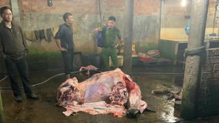 3 cơ sở bơm nước vào bò trước khi giết mổ ở Quảng Nam