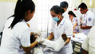 Ca nô phát nổ, 4 người trong gia đình Phó Chủ tịch xã nhập viện 