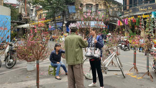 Chợ hoa Hà Nội vào vụ Tết