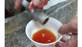 Chuyện rợn người