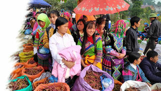  Rộn ràng chợ Tết Bắc Hà