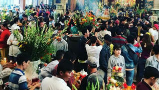 Về những miền hành hương…