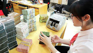 Hải Phòng: Khoảng 3.500 tỷ đồng liên quan tín dụng, ngân hàng cần THA