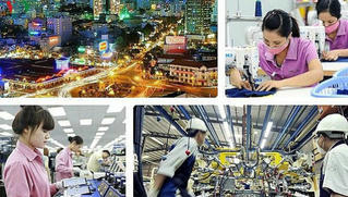 Tổng điều tra kinh tế năm 2021