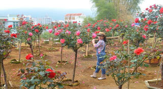 Cơ hội phát triển bản thân
