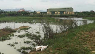 Ba người trong gia đình đi mò ốc chết thương tâm