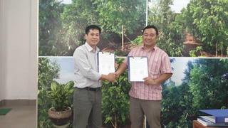 Tiếp bài “loài cây quý được kỳ vọng cứu Tây Nguyên”: Nguyên Phó Thủ tướng Nguyễn Công Tạn và niềm mong mỏi đã hóa sự thật  