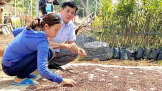 Chuyên gia Viện KHKT Nông - Lâm nghiệp Tây Nguyên: “Đàn hương là vấn đề nóng hổi cần Nhà nước quan tâm”