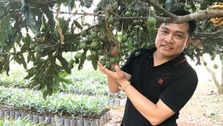 'Cuộc hôn nhân'  giữa 'vương mộc' và 'nữ hoàng các loại hạt'