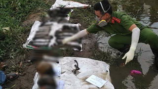 Phát hiện 4 bộ xương người gần bờ sông Sài Gòn